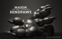 Alternative view of Mason's Hindpaws