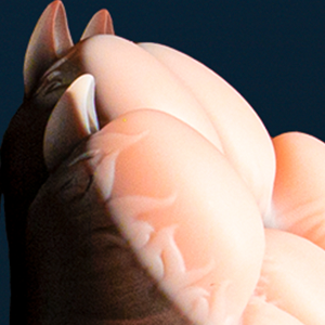 Gideon's Paw Signature