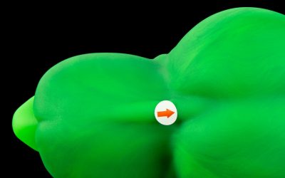 Alternative view of The Canine - Large Flop