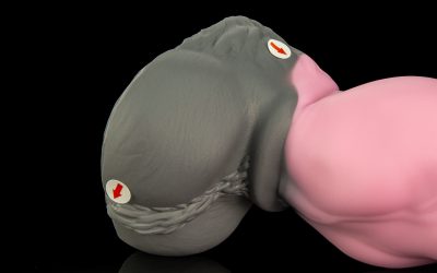 Alternative view of Roscoe - Medium Flop