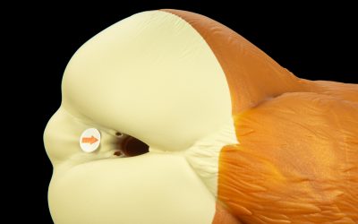 Alternative view of Gideon's Butt - Snug Flop